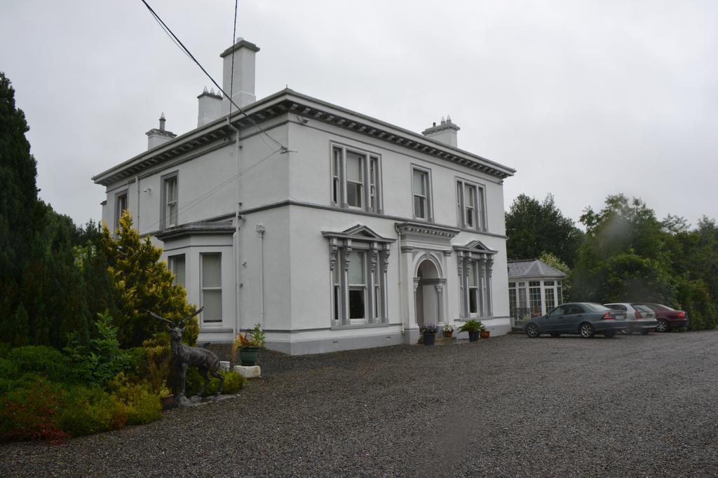 Ballinwillin House Mitchelstown Exterior photo